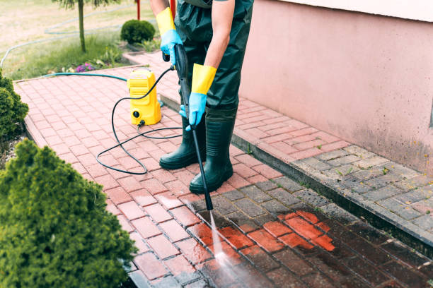 Best Spring Cleaning  in Cortland West, NY