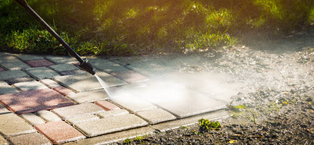 Best Fence Cleaning  in Cortland West, NY